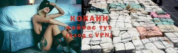соль ск Зеленодольск