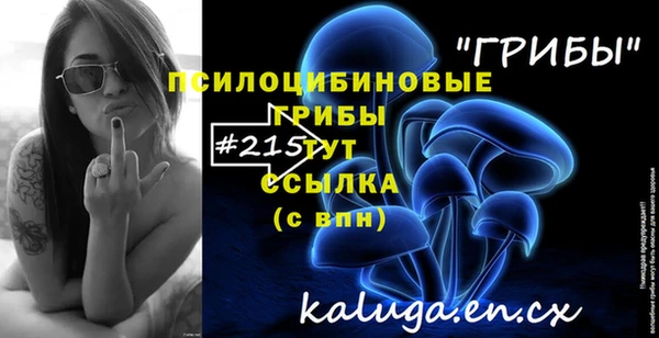 твердый Зеленокумск