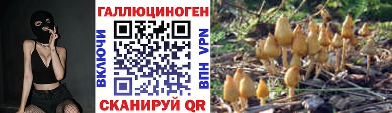 Псилоцибиновые грибы Psilocybe  Купить  Ангарск 