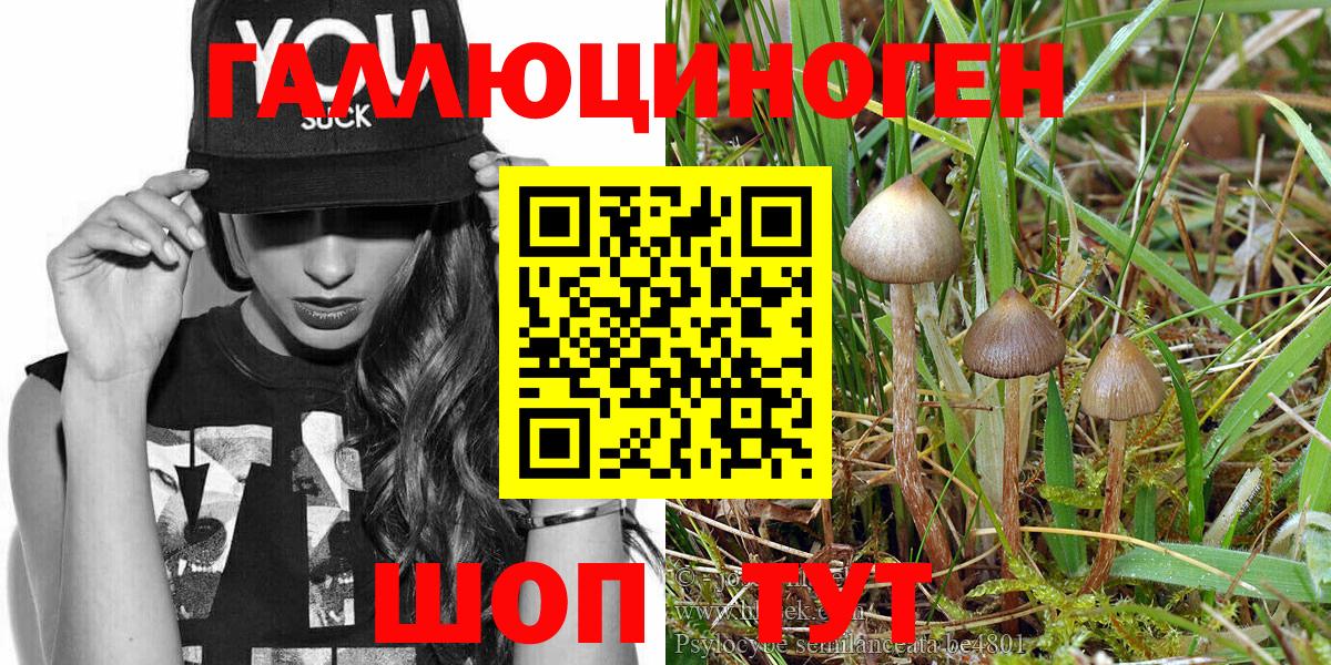 Псилоцибиновые грибы мухоморы  Ангарск 