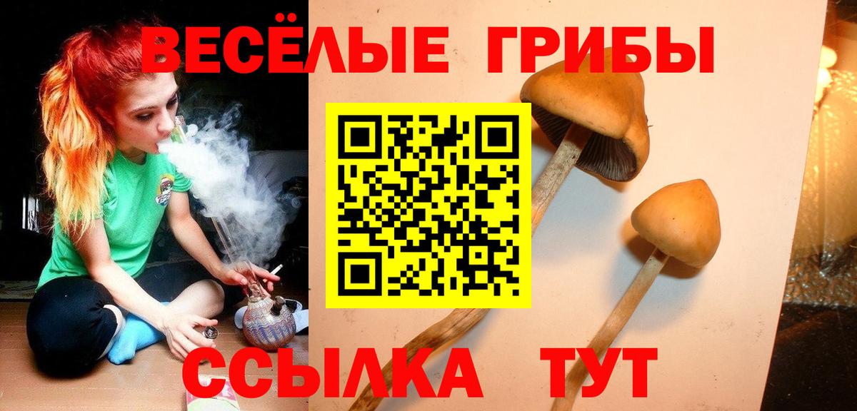 хочу   Галлюциногенные грибы мухоморы  Вход с VPN  Ангарск 